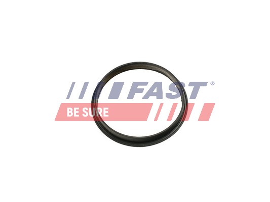 Gasket, vacuum pump - FT49853 FAST