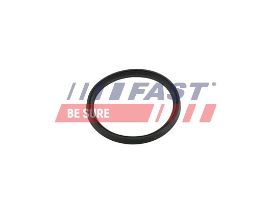 Seal Ring, turbo air hose - FT49854 FAST