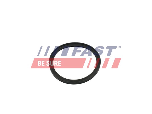 Seal Ring, turbo air hose - FT49854 FAST