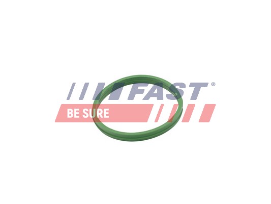 Seal Ring, oil drain plug - FT49855 FAST