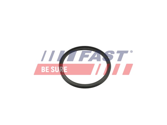 Seal Ring, turbo air hose - FT49857 FAST