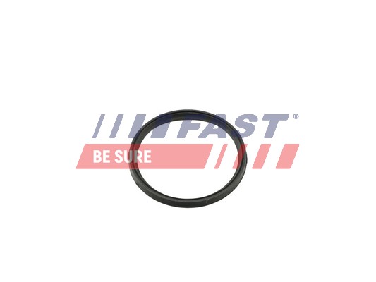 Anello tenuta, Flessibile aria alimentazione - FT49857 FAST