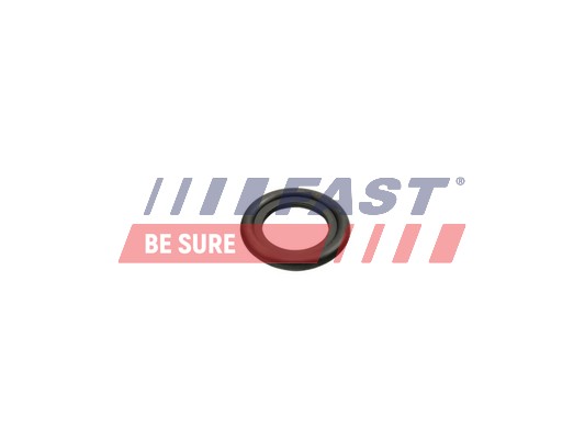 Anello di tenuta, vite di scarico olio - FT49860 FAST