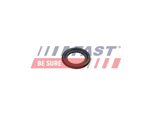 Seal Ring, oil drain plug - FT49860 FAST