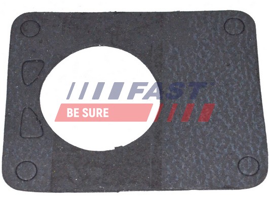 Gasket, vacuum pump - FT49901 FAST