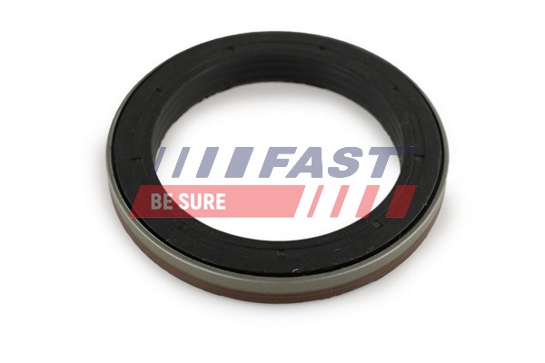 Shaft Seal, differential - FT49910 FAST
