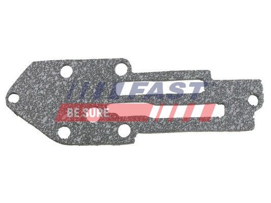 Seal, oil cooler - FT49916 FAST