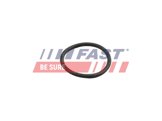 tarpiklis, aušinimo skysčio vamzdelis - FT49918 FAST