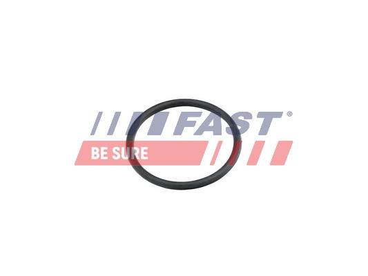 Guarnizione, Condotto d. refrigerante - FT49920 FAST