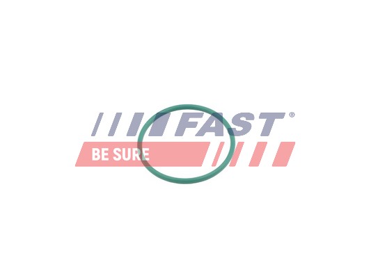Anello tenuta, Flessibile aria alimentazione - FT49921 FAST
