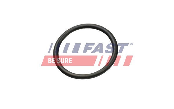 Guarnizione, Condotto d. refrigerante - FT49927 FAST