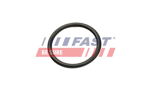 Seal, coolant tube - FT49927 FAST