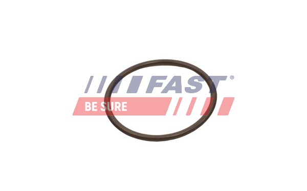 Anello tenuta, Flessibile aria alimentazione - FT49933 FAST