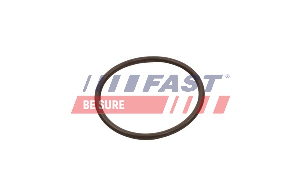 Anello tenuta, Flessibile aria alimentazione - FT49933 FAST
