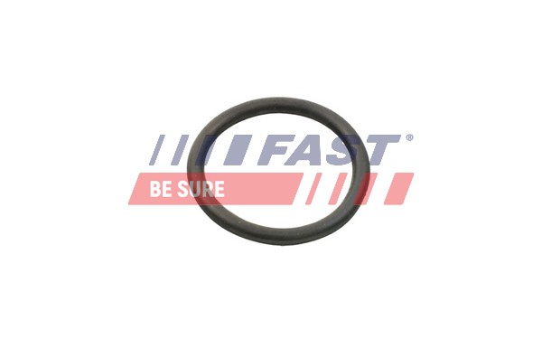 Guarnizione, Pompa acqua - FT49934 FAST