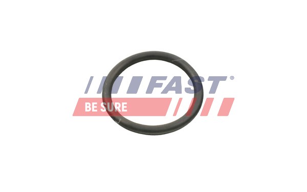 Guarnizione, Pompa acqua - FT49934 FAST