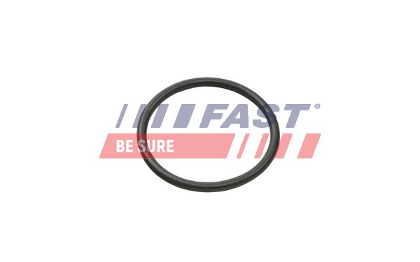Anello di tenuta, Flessibile refrigerante - FT49935 FAST