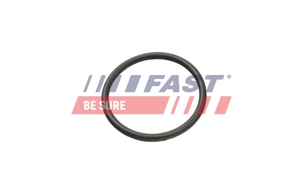 Seal Ring, coolant hose - FT49935 FAST