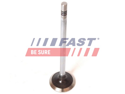 Valvola di scarico - FT50068 FAST