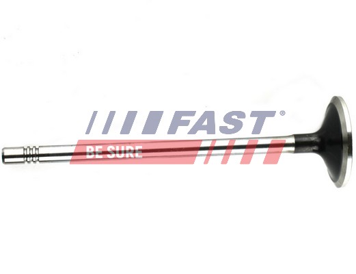 Valvola di scarico - FT50132 FAST