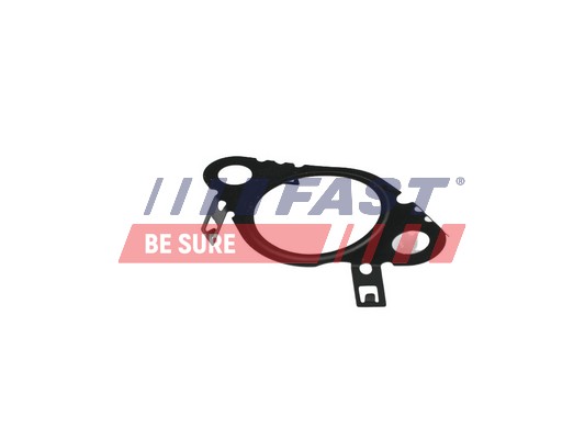 tarpiklis, EGR vožtuvas - FT50604 FAST