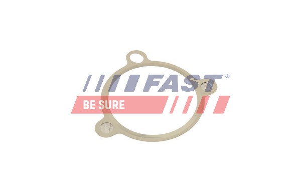Guarnizione valvola EGR (ricircolo gas scarico) - FT50605 FAST