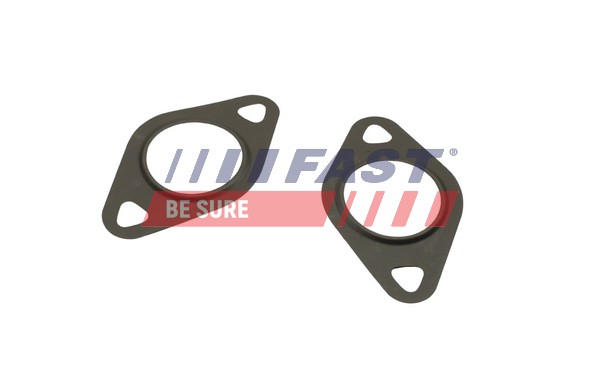 Seal, EGR valve - FT50608 FAST