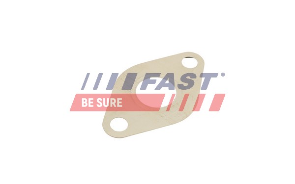 Gasket Set, EGR system - FT50609 FAST