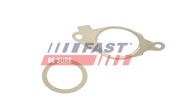 Gasket Set, EGR system - FT50614 FAST