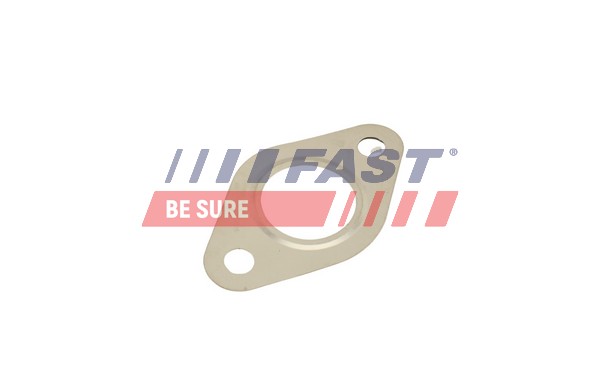 Seal, EGR valve - FT50615 FAST