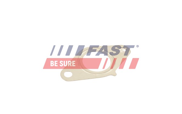 Seal, EGR valve - FT50616 FAST