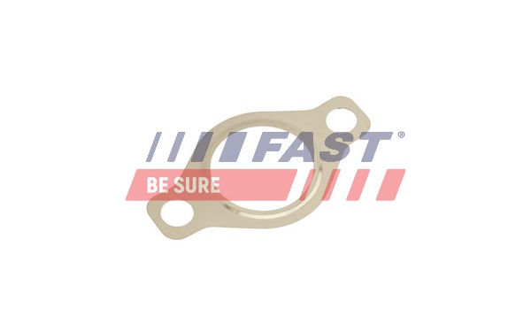 Seal, EGR valve - FT50618 FAST