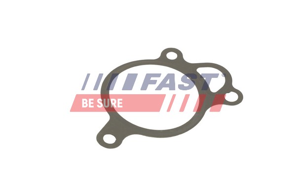 Seal, EGR valve - FT50619 FAST