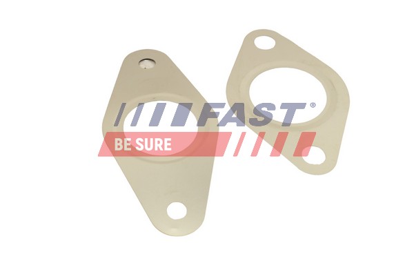 Gasket Set, EGR system - FT50621 FAST