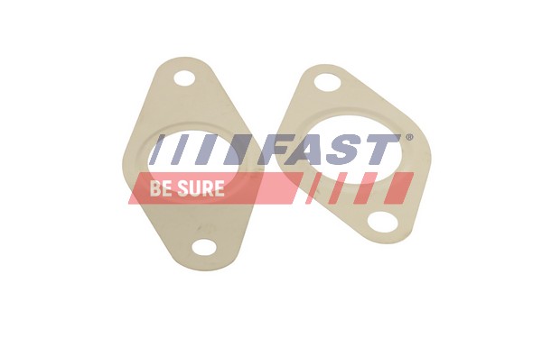 Gasket Set, EGR system - FT50621 FAST