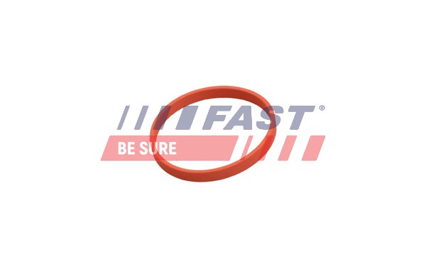 Seal, EGR valve - FT50628 FAST