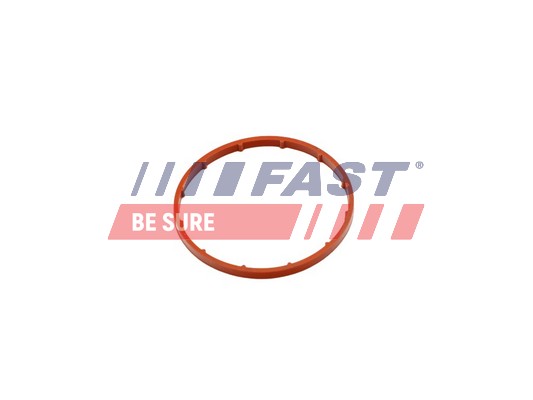 Gasket, vacuum pump - FT50701 FAST