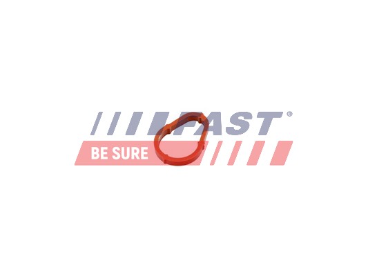 Guarnizione, Pompa depressione - FT50702 FAST