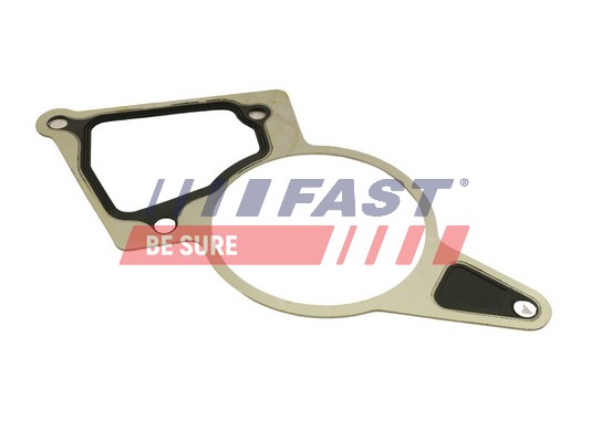 Gasket, vacuum pump - FT50703 FAST