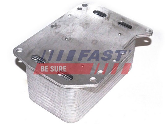 Radiatore olio, Olio motore - FT55143 FAST