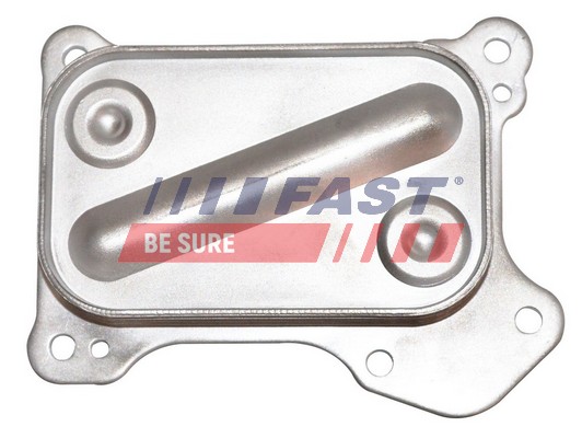 Oil Cooler, engine oil - FT55261 FAST