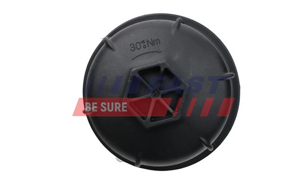Oil Cooler, engine oil - FT55423 FAST