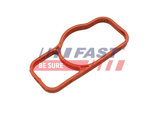 Guarnizione, Pompa acqua - FT57402 FAST