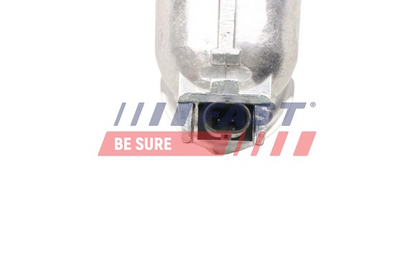Thermostat, coolant - FT58202 FAST