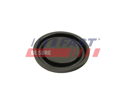 Membrane, crankcase breather - FT60102 FAST