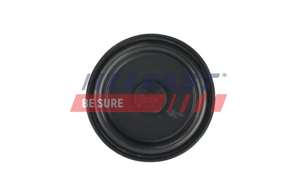 Membrane, crankcase breather - FT60107 FAST