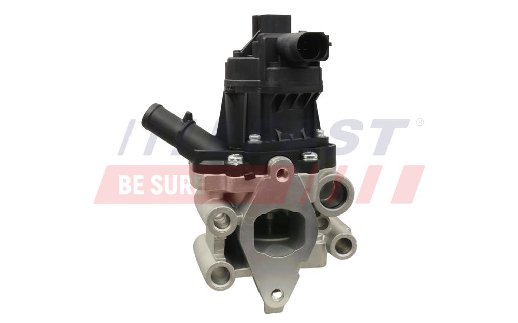 EGR Valve - FT60202 FAST