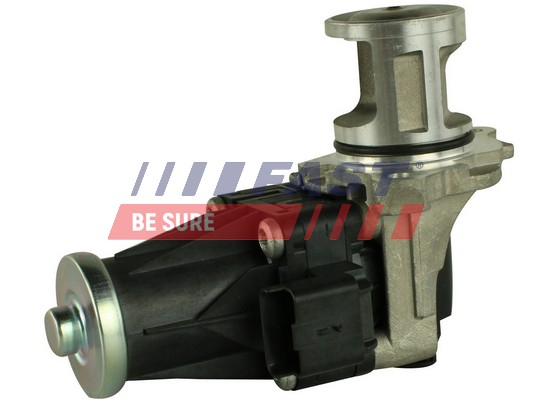 EGR Valve - FT60205 FAST