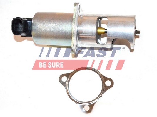 Valvola ricircolo gas scarico-EGR - FT60212 FAST