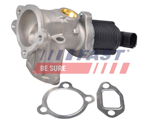 EGR Valve - FT60228 FAST
